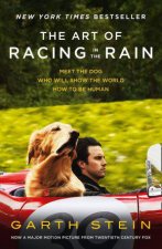 The Art Of Racing In The Rain Film TieIn