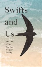 Swifts And Us The Life Of The Bird That Sleeps In The Sky