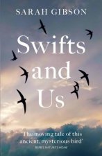 Swifts And Us The Life Of The Bird That Sleeps In The Sky