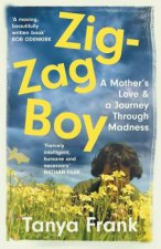 ZigZag Boy A Mothers Love  A Journey Through Madness