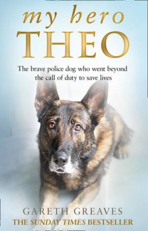 My Hero Theo by Gareth Greaves