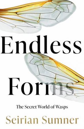Endless Forms: The Secret World Of Wasps by Seirian Sumner