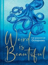 Weird is Beautiful The Wisdom of Octopuses