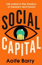 Social Capital Fear and Loathing in the Shadow of Irelands Tech Boom