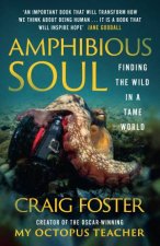 Amphibious Soul Finding the wild in a tame world