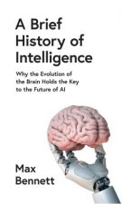 A Brief History of Intelligence Why the Evolution of the Brain Holds the Key to the Future of AI