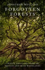 Forgotten Forests Twelve Thousand Years of British and Irish Woodlands