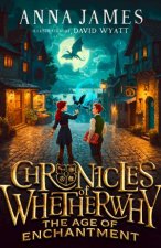 The Age of Enchantment Chronicles of Whetherwhy 1