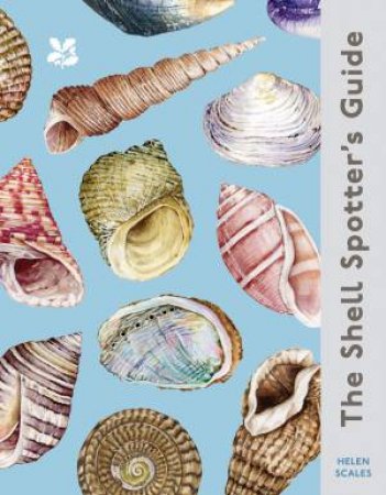 The Shell-Spotter's Guide by Helen Scales