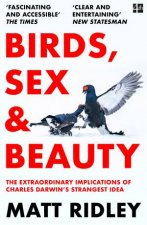 Birds Sex  Beauty