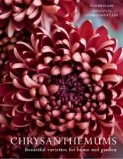 Chrysanthemums Beautiful Varieties For Home And Garden
