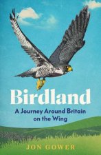 Birdland A Journey Around Britain on the Wing