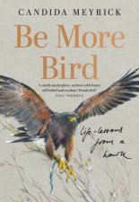 Be More Bird