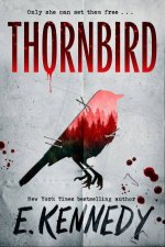 Thornbird from the New York Times bestselling romance author of the OffCampus series and for fans of Holly Jackson and Karen M McManus