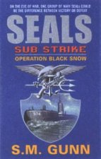 SEALs Sub Strike Operation Black Snow