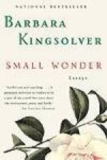 Small Wonder  Cassette