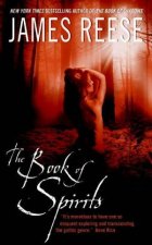 The Book of Spirits