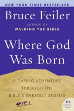 Where God Was Born A Daring Adventure Through The Bibles Greatest Stories