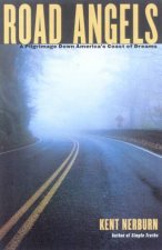 Road Angels A Pilgrimage Down Americas Coast Of Dreams