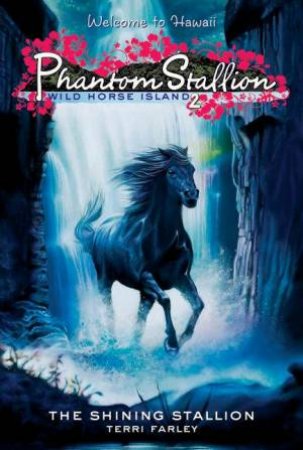 The Shining Stallion by Terri Farley