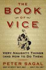 The Book of Vice Very Naughty Things and How to Do Them