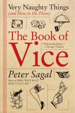 The Book Of Vice Very Naughty Things And How To Do Them