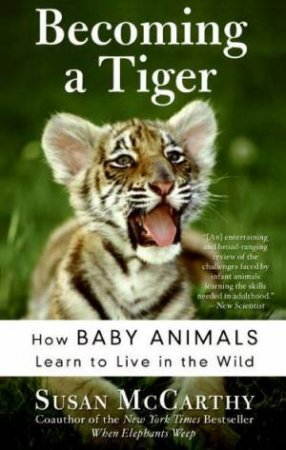 Becoming A Tiger: How Baby Animals Learn To Live In The Wild by Susan McCarthy