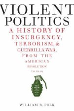 Violent Politics A History of Insurgency Terrorism and Guerrilla War