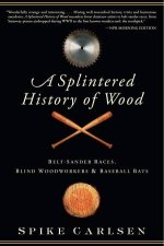 Splintered History of Wood BeltSander Races Blind Woodworkers and Baseball Bats