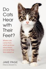 Do Cats Hear With Their Feet