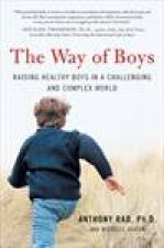 Way of Boys Raising Healthy Boys in a Challenging and Complex World