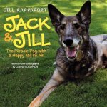 Jack and Jill The Miracle Dog with a Happy Tail to Tell