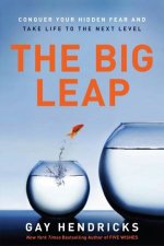 The Big Leap Conquer Your Hidden Fear and Take Life to the Next Level