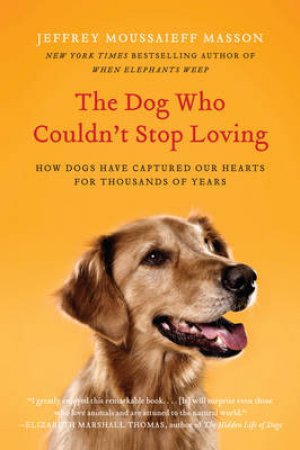 The Dog Who Couldn't Stop Loving: How Dogs Have Captured Our Hearts for by Jeffrey Moussaieff Masson