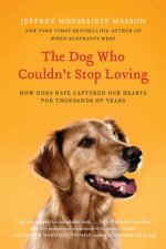 The Dog Who Couldnt Stop Loving How Dogs Have Captured Our Hearts for
