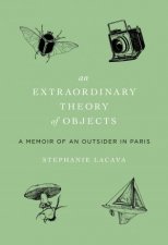 An Extraordinary Theory Of Objects A Memoir Of An Outsider In Paris