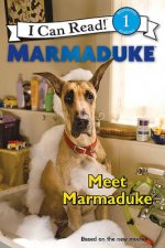 Marmaduke Meet Marmaduke
