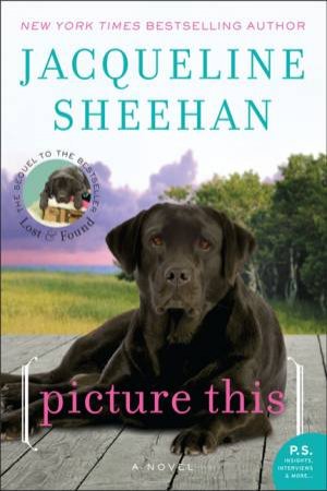 Picture This: A Novel by Jacqueline Sheehan