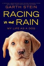 Racing in the Rain My Life As A Dog