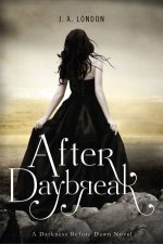 After Daybreak A Darkness Before Dawn Novel