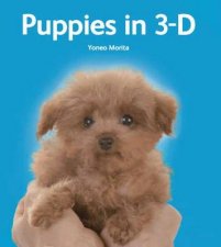 Puppies in 3D