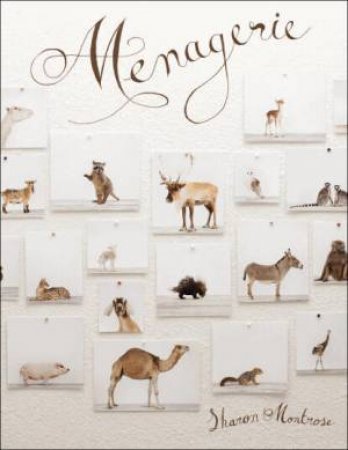 Menagerie by Sharon Montrose