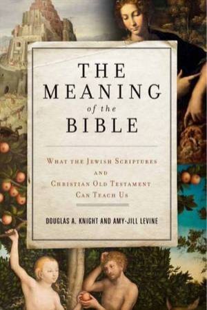 The Meaning of the Bible: What the Jewish Scriptures and Christian OldTestament Can Teach Us by Douglas A. Knight