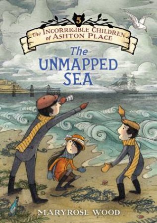 The Unmapped Sea by Maryrose Wood