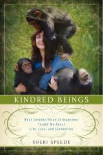 Kindred Beings What SeventyThree  Chimpanzees Taught Me About Life Love and Connection