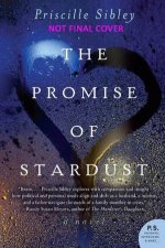 The Promise of Stardust A Novel