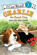Charlie the Ranch Dog Charlies New Friend
