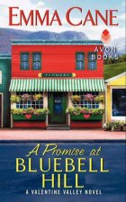 A Promise At Bluebell Hill A Valentine Valley Novel