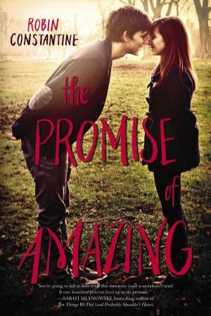 The Promise of Amazing by Robin Constantine