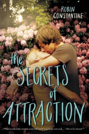 The Secrets Of Attraction by Robin Constantine